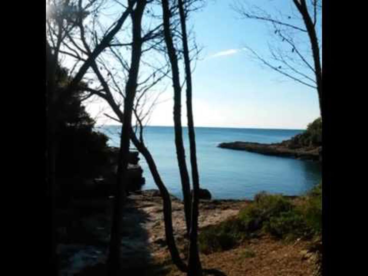 Innouthome Apartamento Andreu Llambrich L'Ametlla de Mar Eksteriør billede